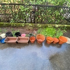 無料　植物菜園用の鉢、プランターセット