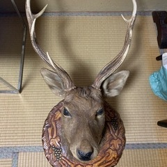 鹿　剥製　10,000円