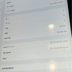 iPad Pro12.9  第3世代  256GB