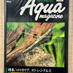 アクアマガジン１１号