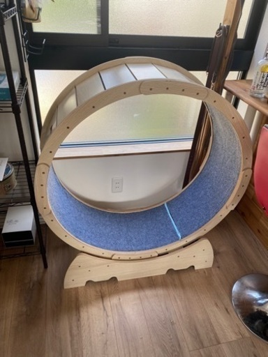 【ほぼ新品】キャットホイール