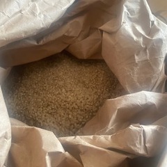 ひのひかり　玄米15キロ