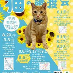 🎆とらちゃん本舗保護猫譲渡会🎆　荒川区西尾久