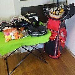 【ナイキのみ】NIKE SQ ゴルフクラブフルセット 13本＋キャディバッグ付 ナイキSQ_フルセット