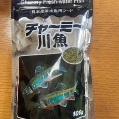 魚の餌　チャーミー川魚100g