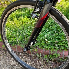 GIANT エスケープJr   24インチ　変速7    ジャイアント　クロスバイク　自転車