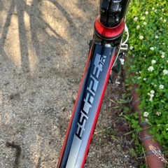 GIANT エスケープJr   24インチ　変速7    ジャイアント　クロスバイク　自転車