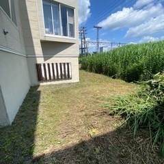 🌱🌱草刈りします🌱🌱😊 − 北海道