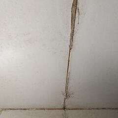 冷蔵室、物置にでも