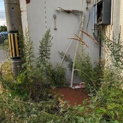 冷蔵室、物置にでも