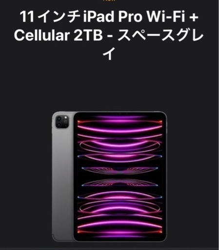 新品未使用11インチiPad Pro第4世代Wi-Fi cellular 2TB