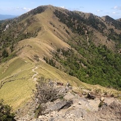 低登山・トレッキング仲間募集