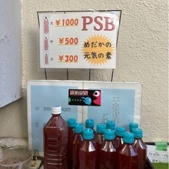 めだかの命の水❗️PSB✨　お手頃タイプ３００円