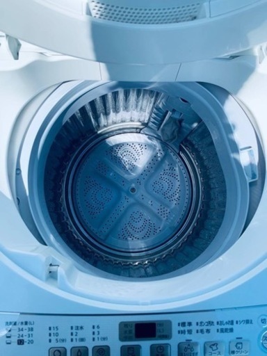 ✨2019年製✨ 800番 シャープ✨電気洗濯機✨ES-G60UC-W‼️