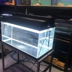 お譲り先決定‼️‼️ 1500水槽 大型水槽 熱帯魚 水槽用品 水槽機材