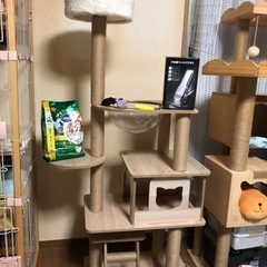 美品キャットタワー＆猫ちゃんケアセット（お取引は吹田or堺 新金...