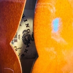 KING SNAKE Detroit One / Dirty Sunburst 