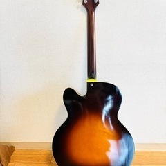 KING SNAKE Detroit One / Dirty Sunburst 