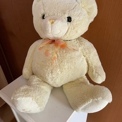 クマのぬいぐるみ🧸