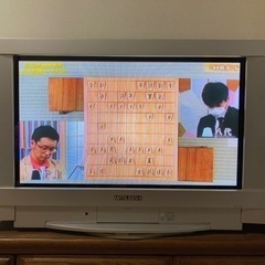 【0円】28型ブラウン管TV【近日廃棄予定】
