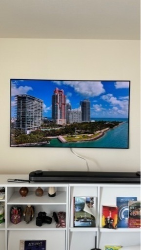 LG 壁掛専用 有機ELテレビ65型 大幅値下げしました！！