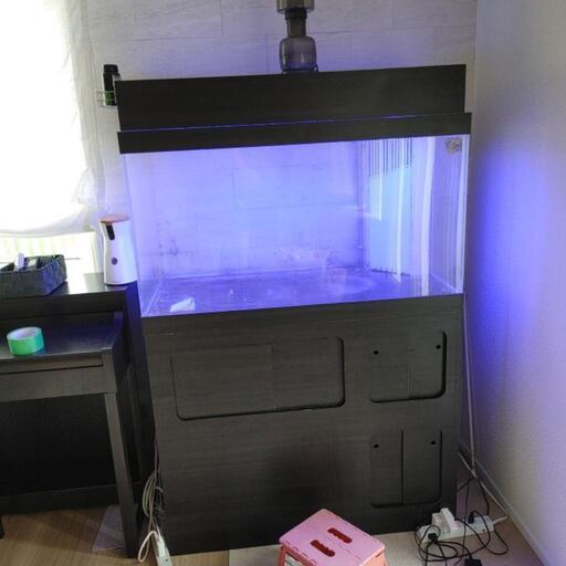 アクリル　オーバーフロー水槽　100　海水魚　　熱帯魚　水槽