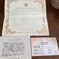 シュノイヤー 白い装いの女たち David SCHNEUER 大判 直接取引のみ 