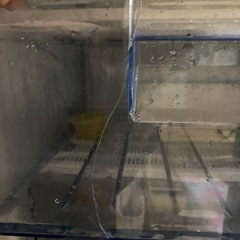 訳ありアイリスオーヤマ冷凍庫