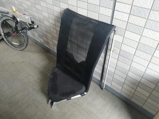 真作/聖安寺/琴仏/不老長春図/桐共箱付/布袋屋掛軸HD-552 真作/聖安寺/琴仏/不老長春図/桐共箱付/布袋屋掛軸