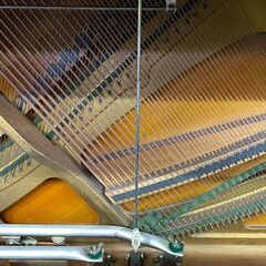 全塗装！ヤマハU1　木目　定番モデルの木目モデルです