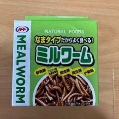 【ネット決済】なまタイプだからよく食べる！　ミルワーム