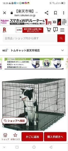 犬用トムクレイト5000番新品未使用品