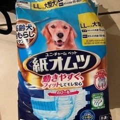 大型犬　LLサイズ　紙おむつ