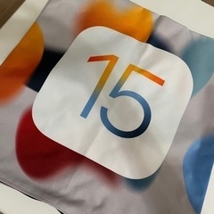 非売品🍎新品未使用✨iOS15デザインクッションカバー