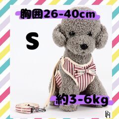 【♡新品♡】リード　ドッグウェア　セット　小型犬用　お洋服　ピン...