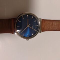 SKAGEN　SKW2191【レディース腕時計】