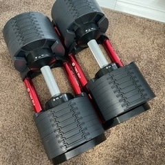 可変式ダンベル×2(FLEXBELL×Mad Bull) - スポーツ 