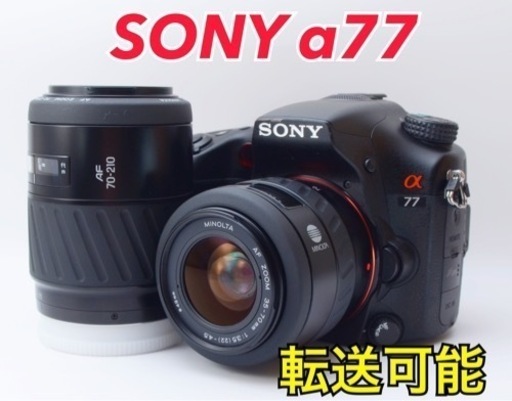 ★SONY α77★S数約10700回●スマホ転送●2430万画素  1ヶ月動作補償あり！ 安心のゆうパック代引き発送！ 送料、代引き手数料無料！