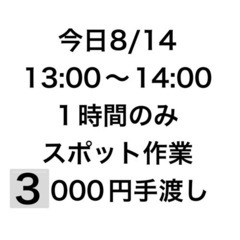 13:30から！1時間だけ！3000円！