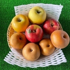 3種類盛り　フルーツセット　梨、りんご、新りんご