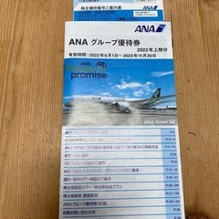 【ネット決済】ANA株主優待券1枚 2024年5月31日まで