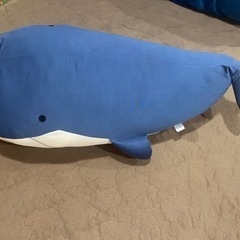 冷んやりクジラ