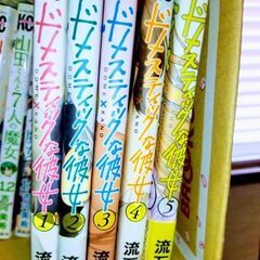 ドメスティックな彼女　コミック漫画まとめ売り❢