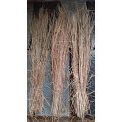 ⑧長い稲藁❗️家庭用の超ブランド米の藁です❗️