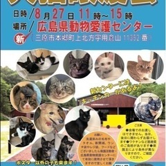 8月27日(日)犬猫譲渡会