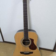 エレキアコースティックギター James J-450D