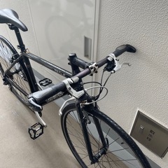 LOUIS GARNEAU TR LITE E ルイガノ クロスバイク 470mm