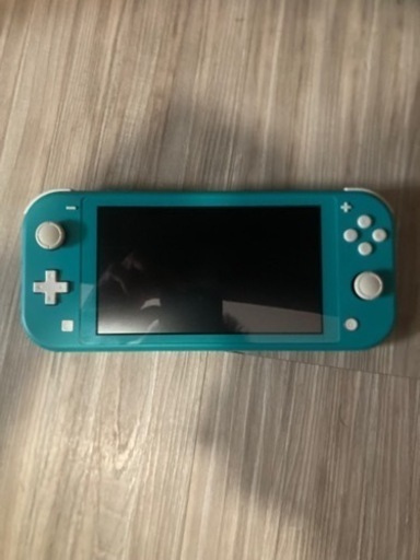 その他 Switch lite