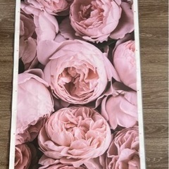 IKEA購入　ビョルクスタ　ピンクシャクヤクの花のアート　