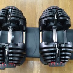 4WD 可変式ダンベル アジャスタブルダンベル 38K x 2
